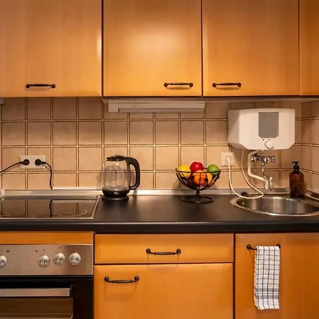 Explorer House Apartment *